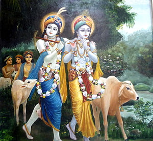 Krishna and Balaram Playing Flutes with Cows in a Lush Forest Setting HD wallpaper