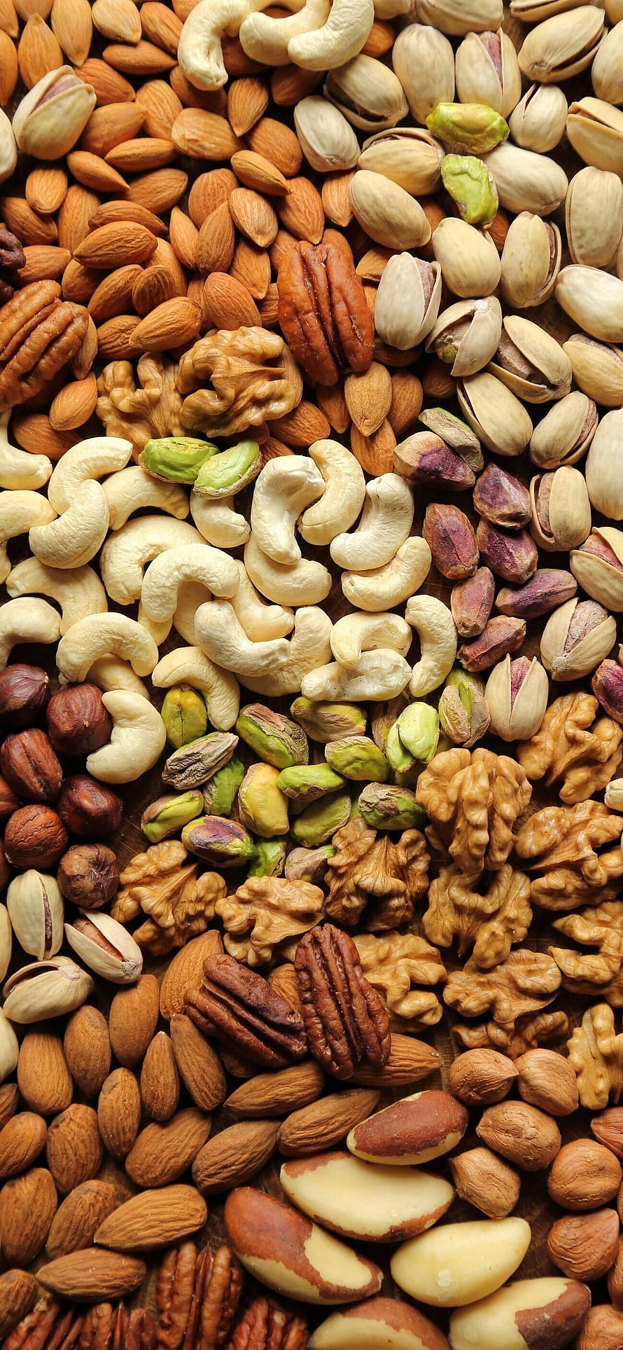 Assorted Mixed Nuts Including Almonds, Cashews, Walnuts, Pistachios, and Pecans HD phone wallpaper