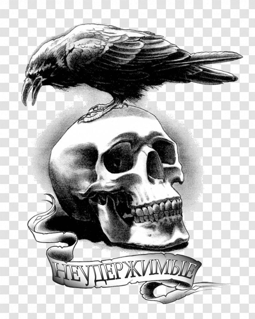 Black and White Crow Perched on Skull Tattoo Design with Ribbon Banner HD phone wallpaper