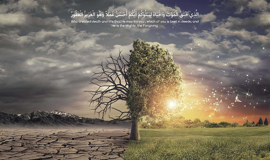 Islamic Life and Death Concept: Split Tree with Quran Verse and Dramatic Sky HD wallpaper