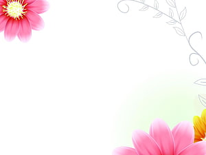 Elegant Floral Corner Frame with Pink and Yellow Daisies on White Background HD wallpaper