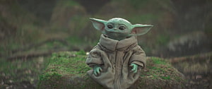 Grogu from The Mandalorian Sitting on a Mossy Stone in a Forest HD wallpaper