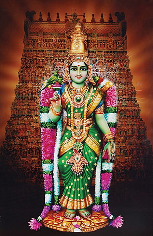 Meenakshi Amman Divine Portrait in Green Saree with Temple Gopuram Background, Sree Meenakshi Advertising Services, meenakshi amman HD phone wallpaper