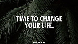Dark Tropical Palm Leaves With Motivational Quote Text Overlay HD wallpaper