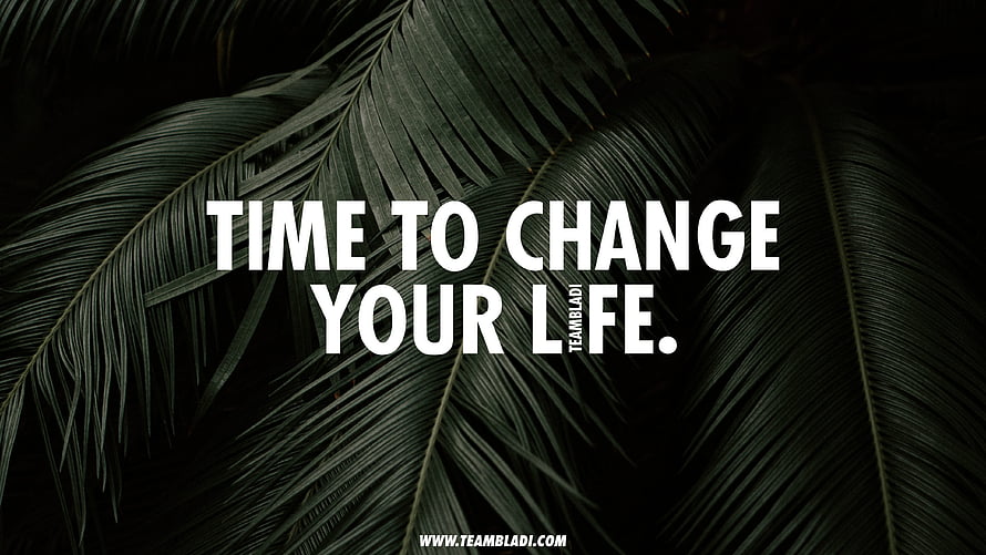 Dark Tropical Palm Leaves With Motivational Quote Text Overlay HD wallpaper