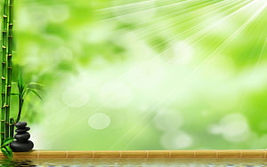 Serene Zen Garden with Bamboo, Stacked Stones, and Sunlit Green Foliage HD wallpaper
