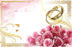 Elegant Wedding Invitation Design with Gold Rings and Pink Roses HD wallpaper