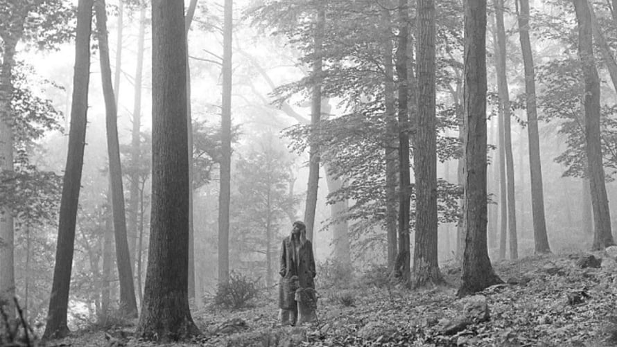 Solitary Figure Standing in a Misty Black and White Forest Scene HD wallpaper