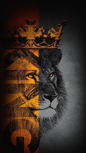 Majestic Lion Wearing a Golden Crown with Dramatic Split Color Design HD phone wallpaper