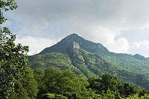 Arunachala Hill Sacred Mountain Landscape with Lush Green Forest and Rocky Peak HD wallpaper
