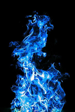 Vibrant Blue Flame Rising Against a Dark Background HD phone wallpaper