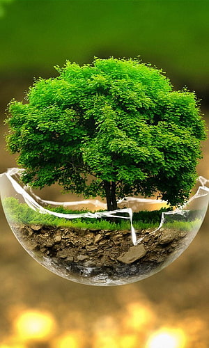 Surreal Floating Tree in a Cracked Glass Sphere with Lush Green Foliage HD phone wallpaper