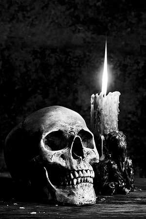 Gothic Human Skull and Lit Candle Still Life in Dramatic Black and White Photography HD phone wallpaper