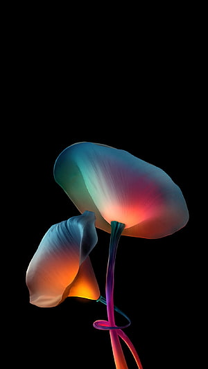 Iridescent 3D Digital Flower with Neon Gradient Petals on Black Background HD phone wallpaper