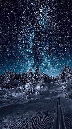 Milky Way Galaxy Over Snow-Covered Pine Forest and Groomed Ski Trail at Night HD phone wallpaper