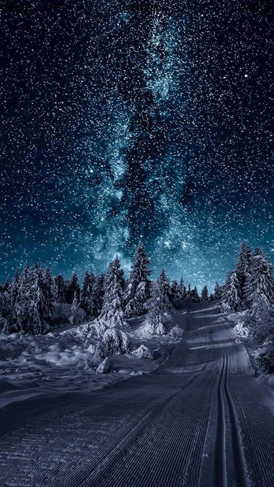 Milky Way Galaxy Over Snow-Covered Pine Forest and Groomed Ski Trail at Night HD phone wallpaper
