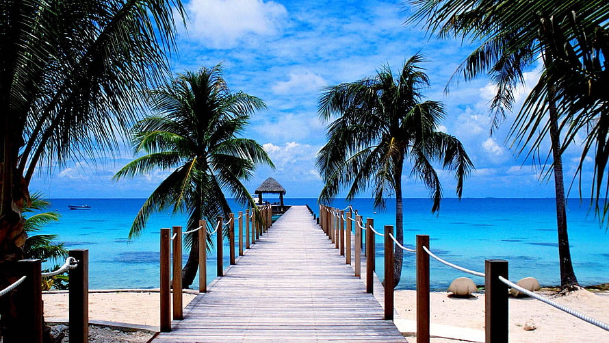 Tropical Beach Boardwalk Leading to Ocean Pavilion Under Palm Trees HD wallpaper