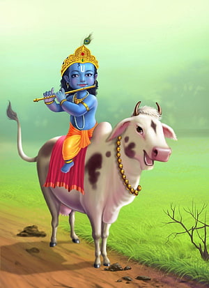 Little Krishna Playing Flute While Riding a Cow in a Green Pasture HD phone wallpaper