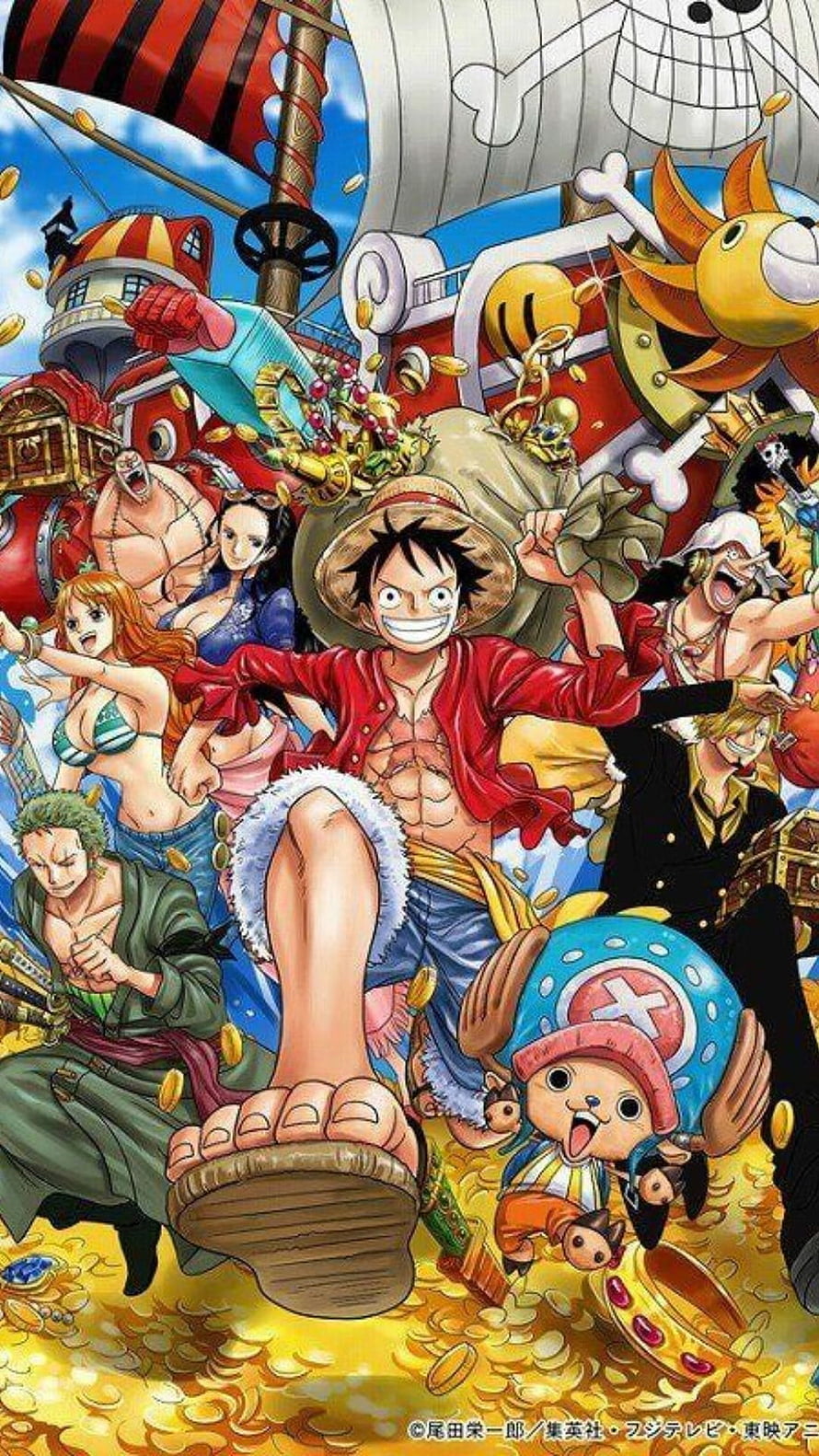 One Piece Straw Hat Pirates Celebrating Treasure on the Thousand Sunny HD phone wallpaper