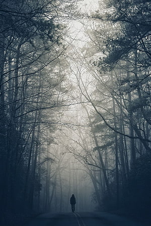 Solitary figure walking down a misty forest road at dawn HD phone wallpaper