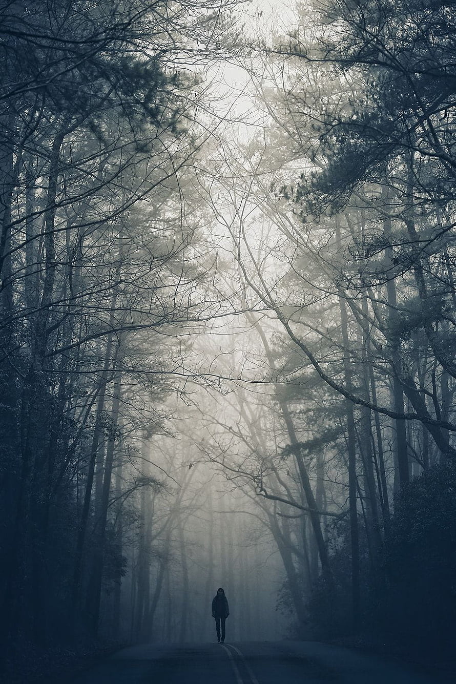 Solitary figure walking down a misty forest road at dawn HD phone wallpaper