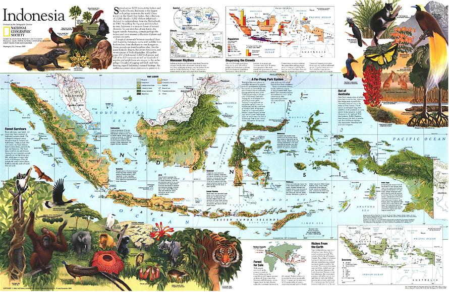 National Geographic Indonesia Map with Wildlife Illustrations and Geographic Data HD wallpaper