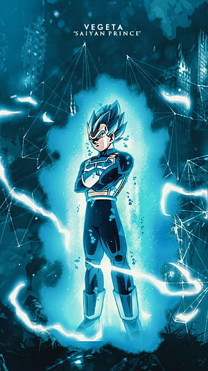 Vegeta Super Saiyan Blue Evolved Anime Character Artwork HD phone wallpaper