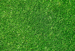 Vibrant Green Grass Texture Close-Up for Natural Backgrounds HD wallpaper