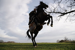 Kurulus Osman Reins a Rearing Black Horse in a Dramatic Outdoor Scene, Kurulus: Osman, karayel horse HD wallpaper