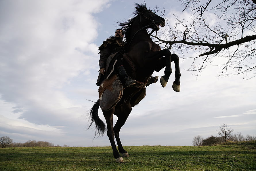 Kurulus Osman Reins a Rearing Black Horse in a Dramatic Outdoor Scene, Kurulus: Osman, karayel horse HD wallpaper