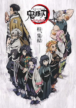 Demon Slayer Hashira Gathering Anime Character Group Poster HD phone wallpaper