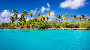 Tropical Island Lagoon with Turquoise Water and Palm Trees Under a Blue Sky HD wallpaper