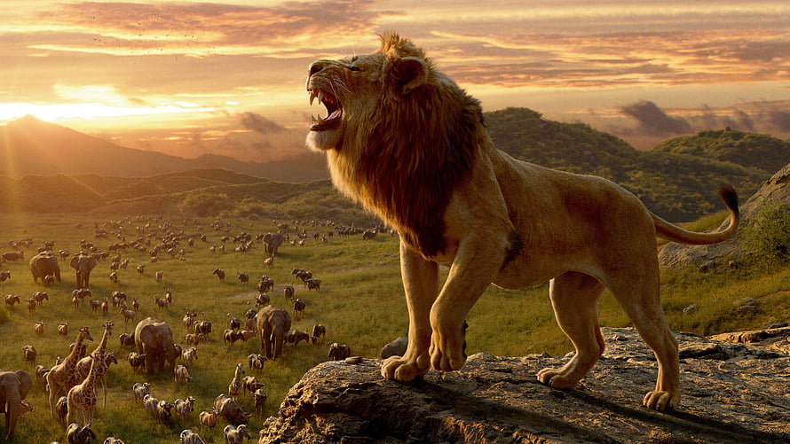 Mufasa Roaring on Pride Rock at Sunset in The Lion King Cinematic Scene HD wallpaper