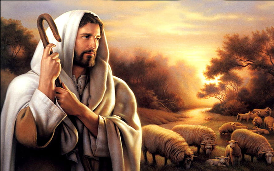 Jesus Christ as the Good Shepherd with Flock at Golden Sunset HD wallpaper