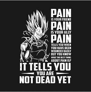 Vegeta Dragon Ball Z Motivational Quote Poster with Pain Is Your Friend Text HD phone wallpaper