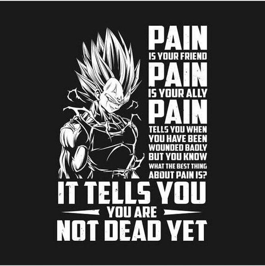 Vegeta Dragon Ball Z Motivational Quote Poster with Pain Is Your Friend Text HD phone wallpaper