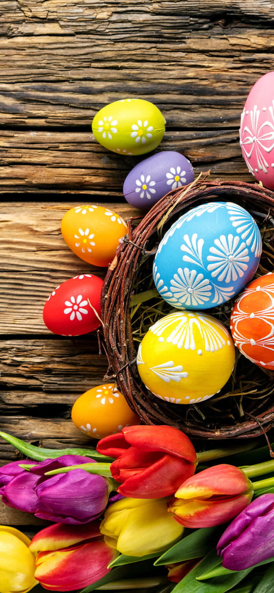 Colorful decorated Easter eggs in a twig nest with fresh tulips on rustic wooden planks HD phone wallpaper