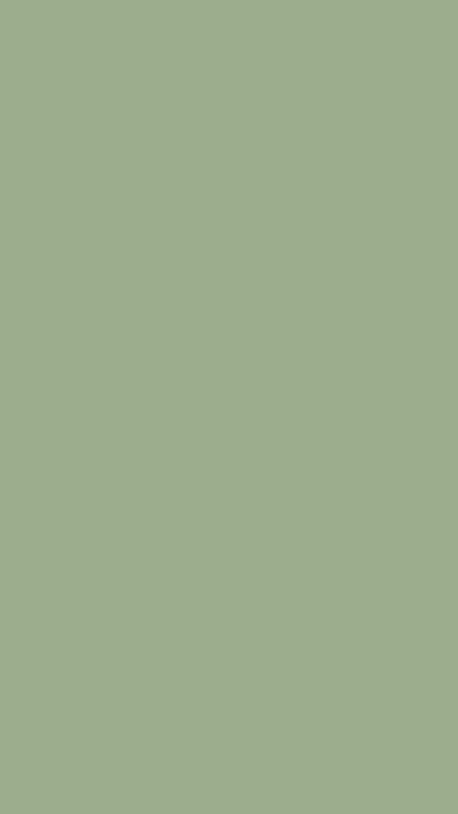 Sage Green Minimalist Solid Color Background for Mobile Devices HD phone wallpaper