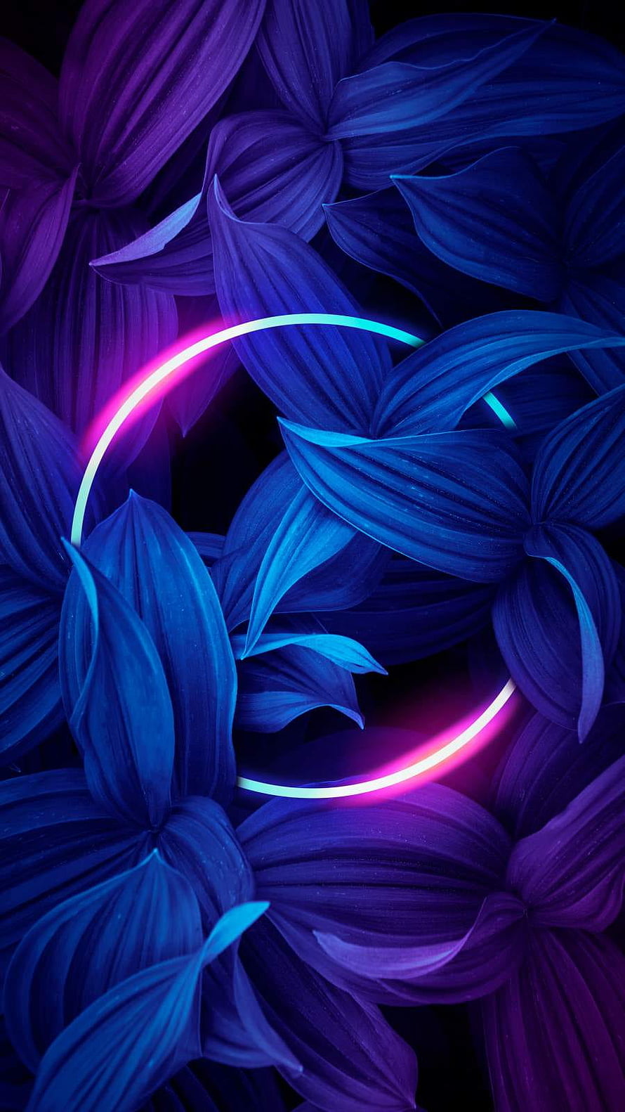 Neon Ring Over Dark Blue and Purple Botanical Leaves HD phone wallpaper