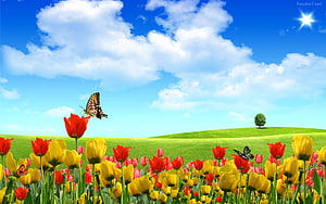 Vibrant Tulip Garden with Butterflies Under a Bright Blue Sky HD wallpaper