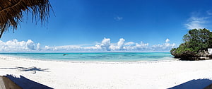 Tropical Beach Panorama With Turquoise Water, White Sand, and Palm Shade Under a Bright Blue Sky HD wallpaper
