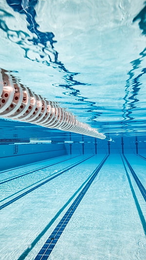 Underwater View of a Swimming Pool with Lane Markers and Rippling Water Surface HD phone wallpaper