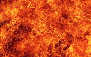 Intense Close-Up of Roaring Orange Flames and Blazing Fire Texture HD wallpaper