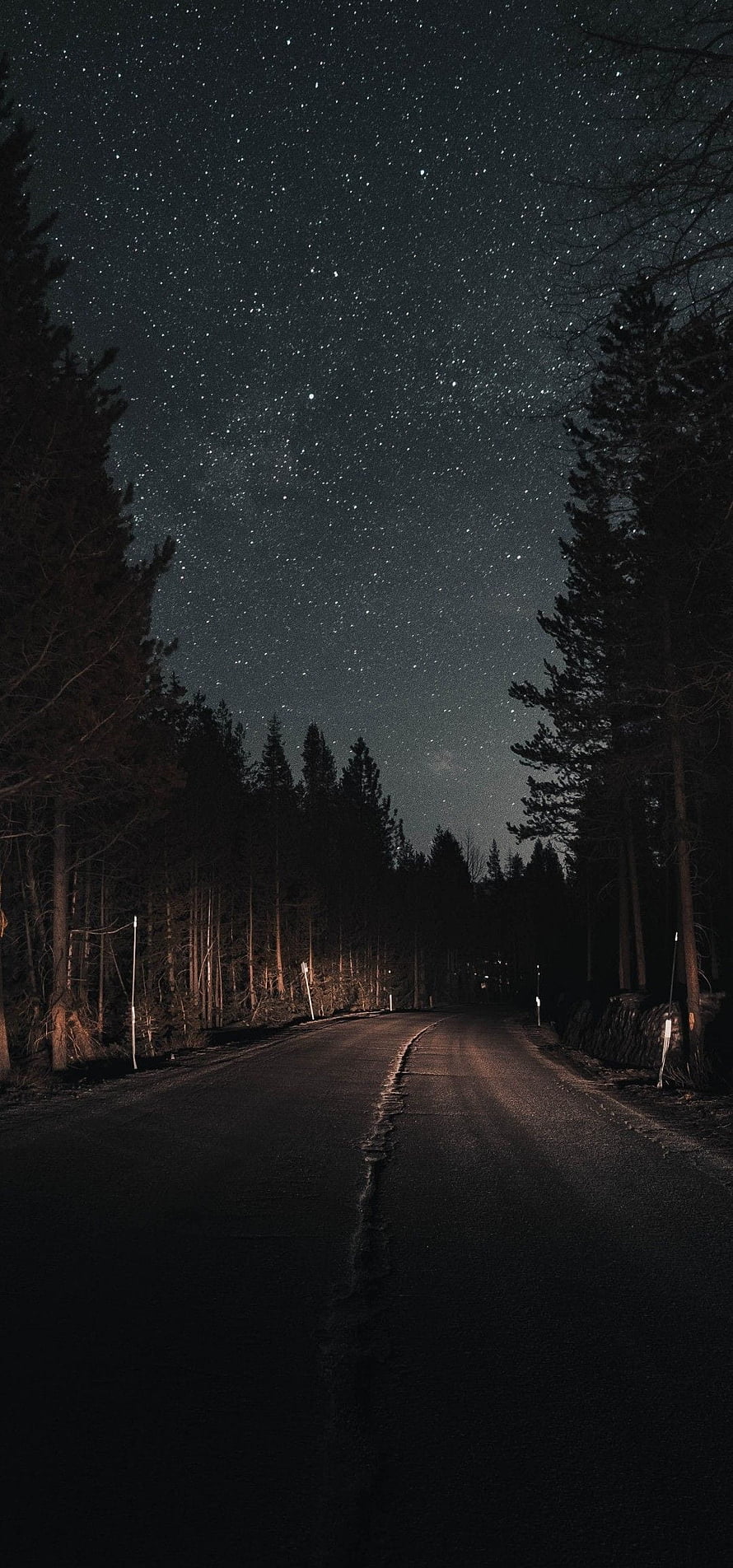 Starry Night Sky Over a Dark Forest Road with Pine Trees and Milky Way HD phone wallpaper