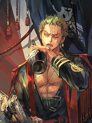 Roronoa Zoro New World Arc Anime Illustration with Scars and Swords HD phone wallpaper
