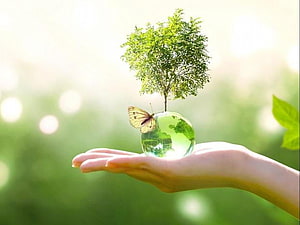 Hand Holding Crystal Earth with Tree and Butterfly for World Environment Day HD wallpaper