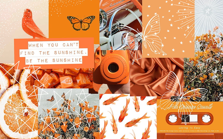 Vibrant Orange Aesthetic Collage Featuring Butterflies, Cameras, and Citrus Elements HD wallpaper