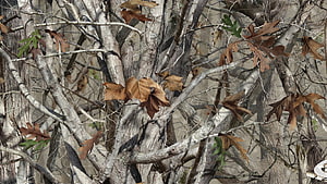 Realistic Hunting Camouflage Pattern with Oak Leaves and Tree Branches HD wallpaper