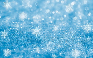 Winter Snowflakes on a Soft Blue Bokeh Background with Sparkling Frost Texture HD wallpaper
