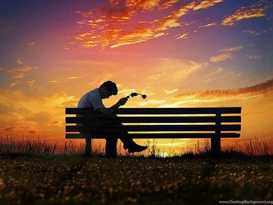 Silhouette of a man sitting on a park bench at sunset holding a wilted flower HD wallpaper